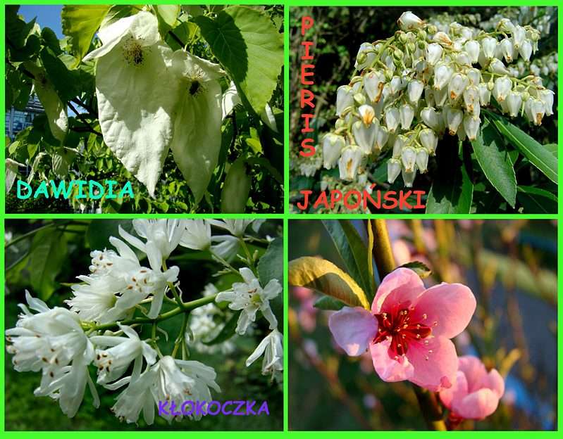 De laatste lente en bloemenliefhebber;)) online puzzel