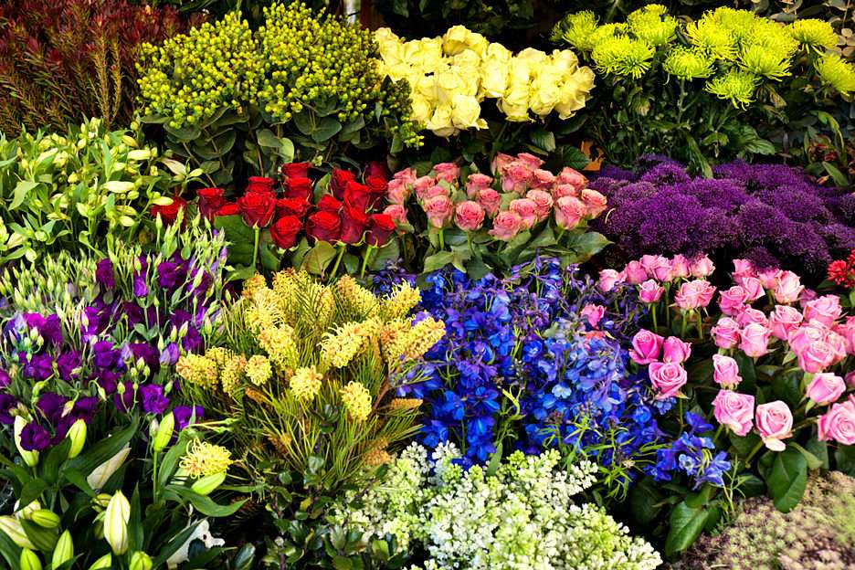 Florista puzzle online a partir de foto