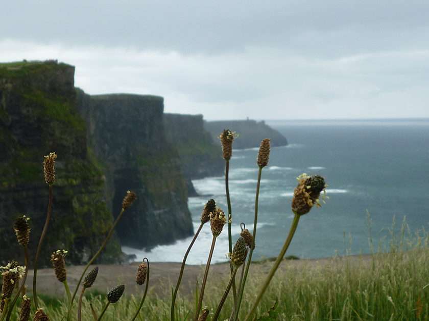 Irish cliffs puzzle online from photo