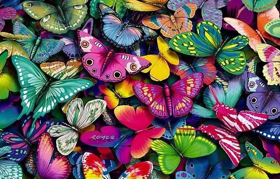 Motýli puzzle online z fotografie