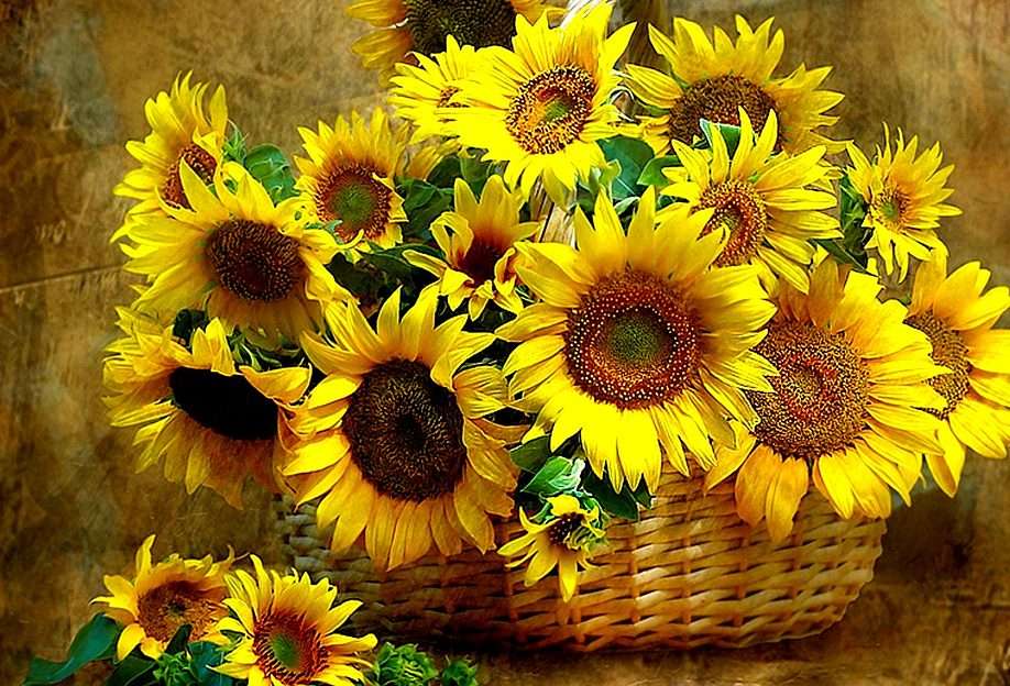 Sunflowers puzzle online from photo