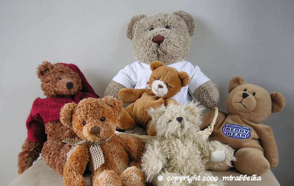 Teddybär 2 Online-Puzzle vom Foto