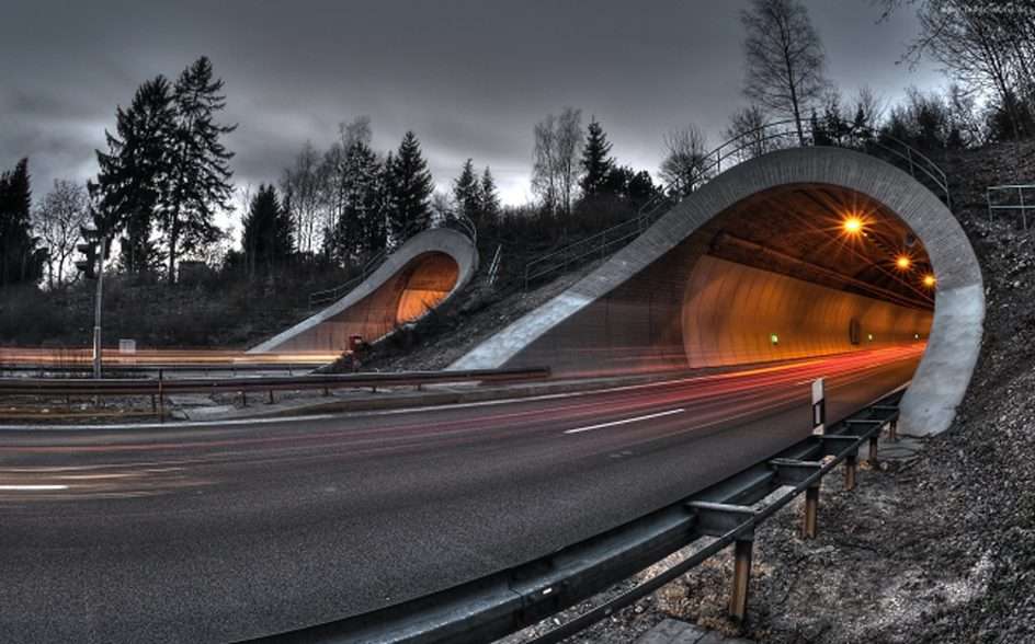 tunnel pussel online från foto