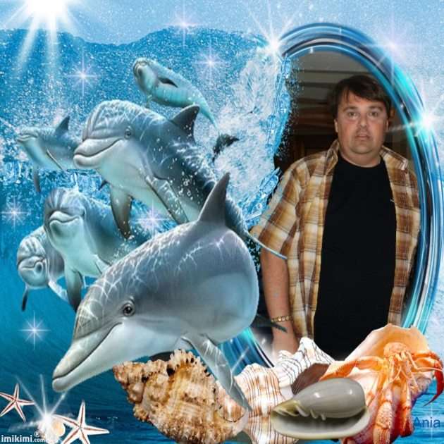 Peter and the dolphins puzzle online from photo