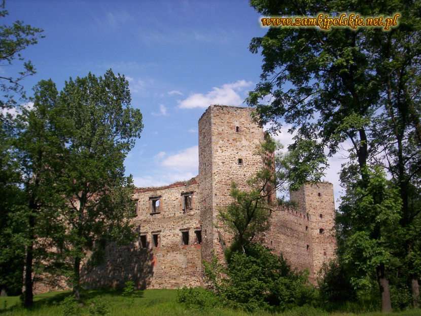Κάστρο στη Drzewica παζλ online από φωτογραφία