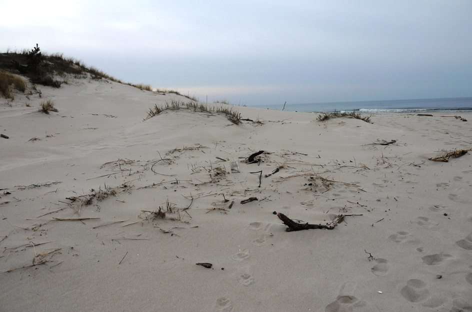 jarní pláž u Baltského moře puzzle online z fotografie