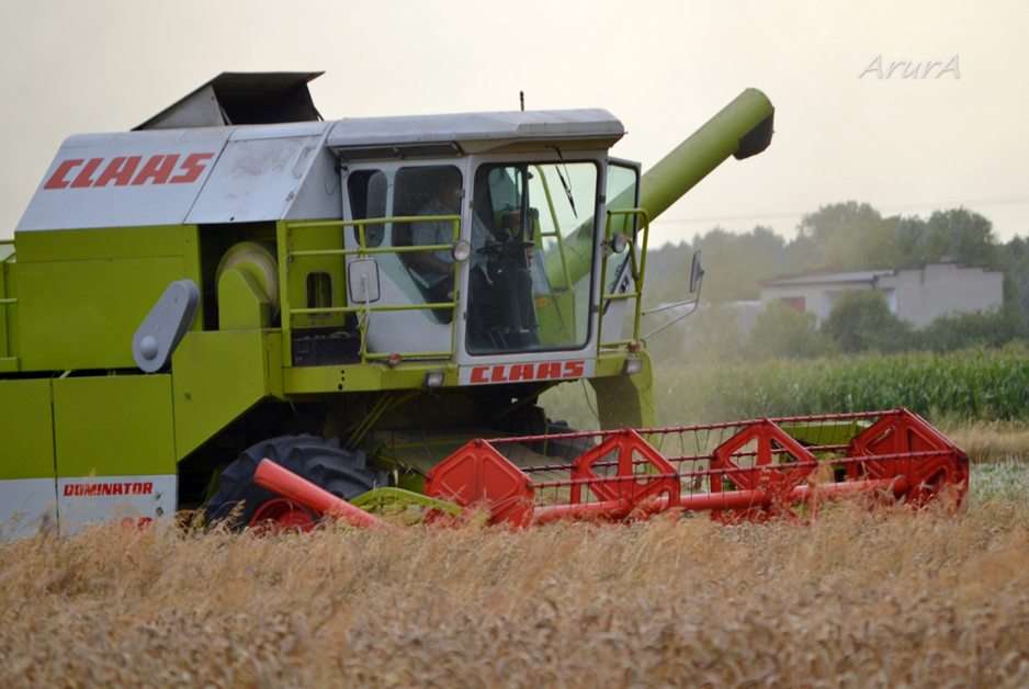 Claas Dominator puzzle online from photo