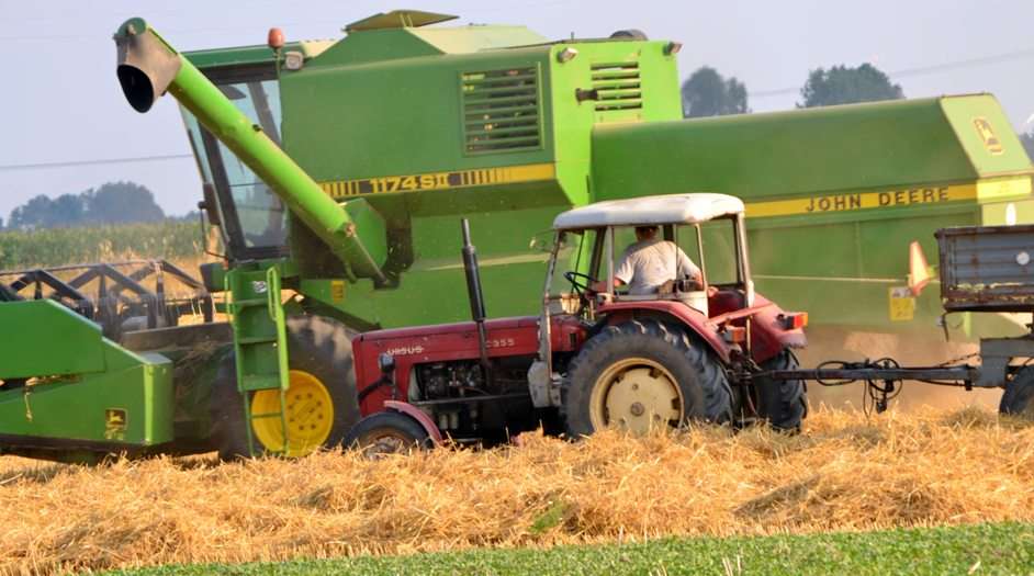 Harvest 2014 puzzle online from photo