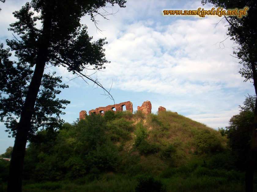 Castle in Sochaczew online puzzle
