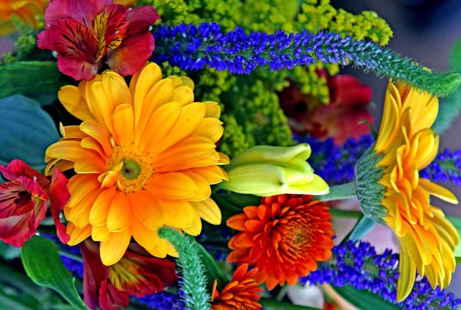 Λουλούδια παζλ online από φωτογραφία