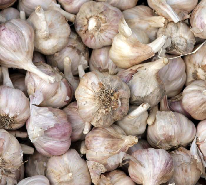 Garlic puzzle online from photo
