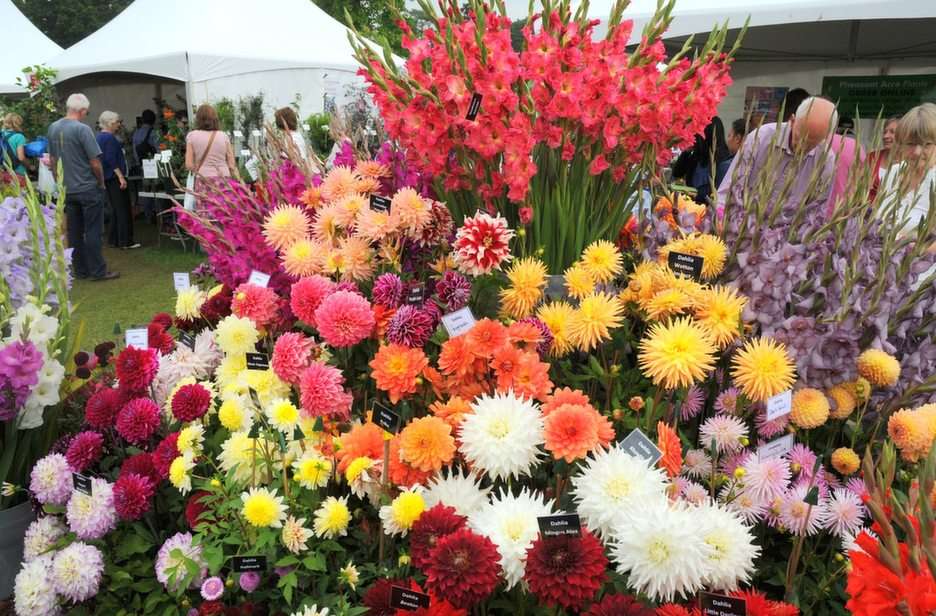 mercado de flores puzzle online a partir de fotografia