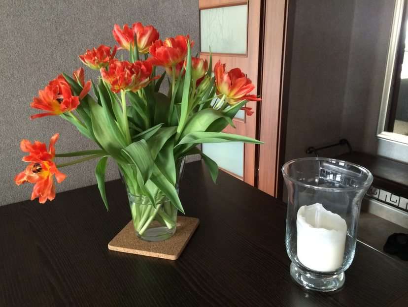Tulipán puzzle online fotóról