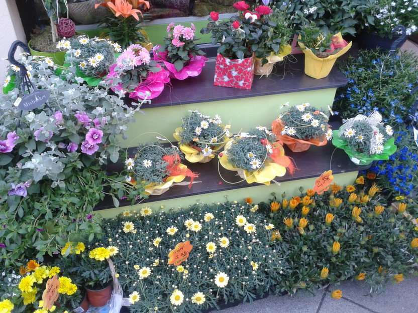 i blomsterbutiken pussel online från foto