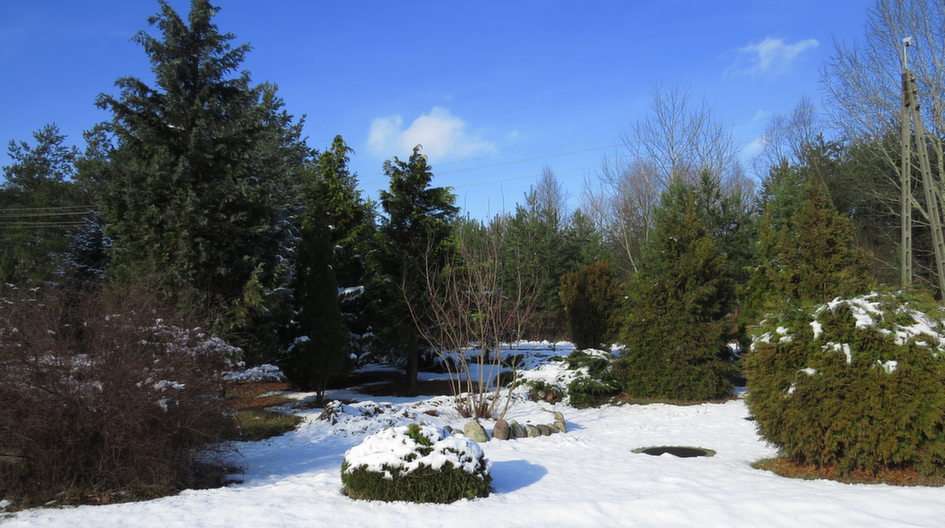 The garden in winter puzzle online from photo