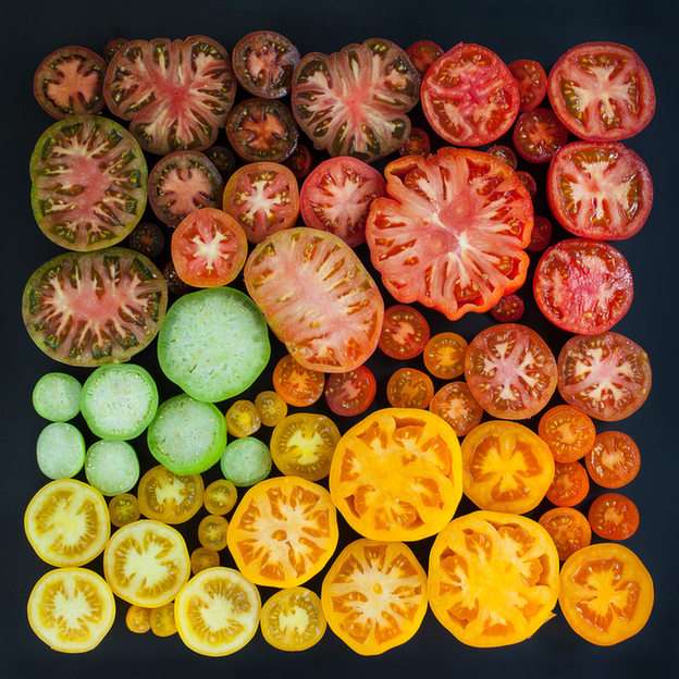 Sliced ​​tomatoes online puzzle