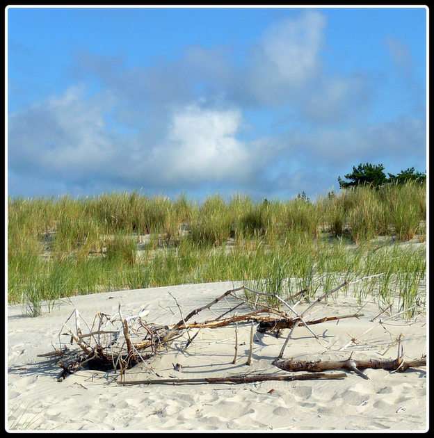 dunes online puzzle
