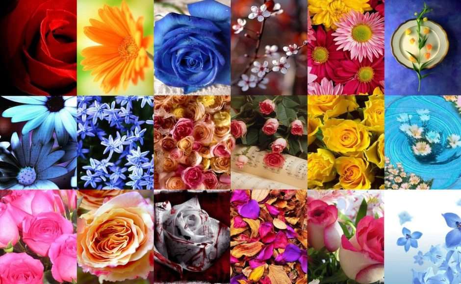 fiori puzzle online fotóról