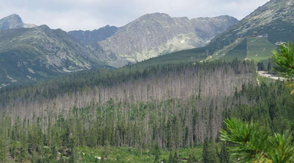 Montanhas Tatra quebra-cabeça da foto