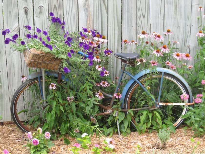 bicicleta velha puzzle online a partir de fotografia