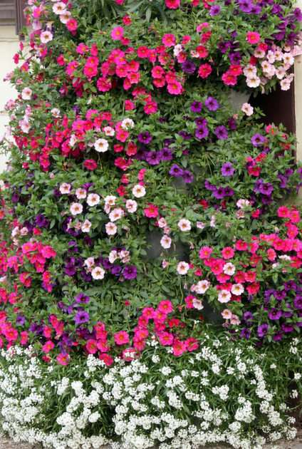 flowerbed puzzle online from photo