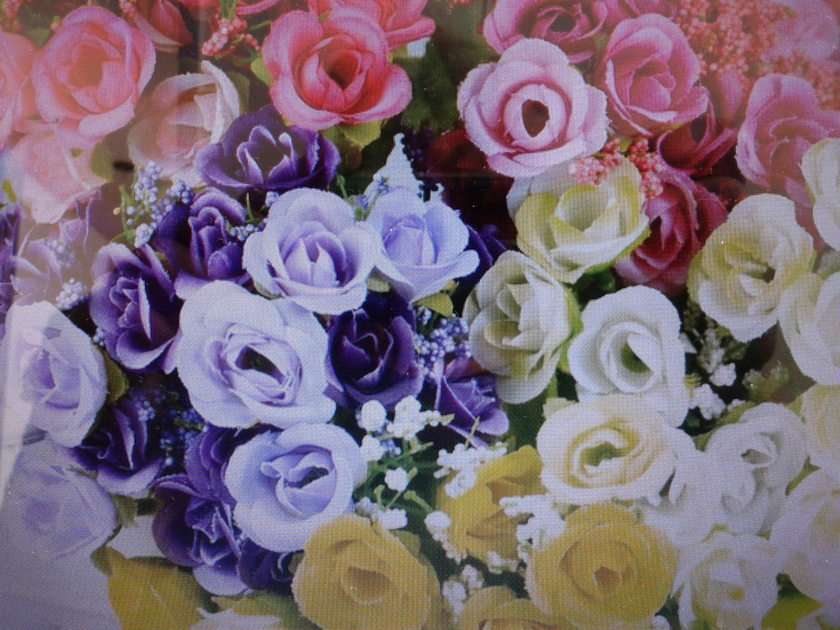 flores puzzle online a partir de fotografia