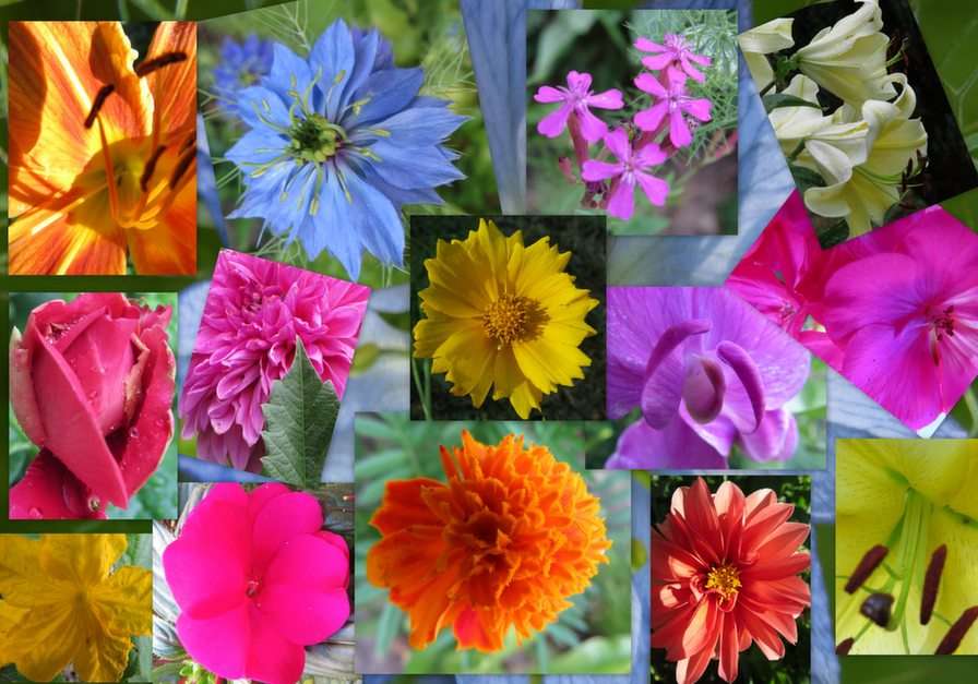 floral puzzle online
