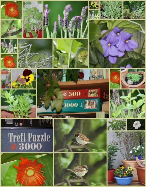 collage online puzzle