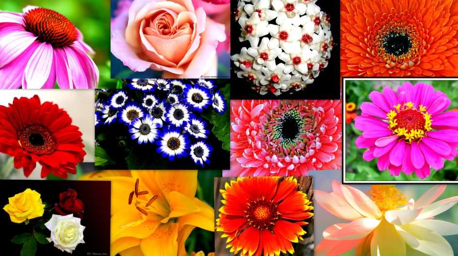 Blommig collage online pussel