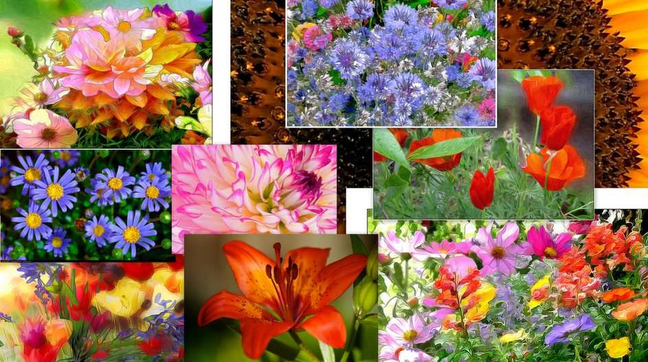 Colagem floral puzzle online a partir de fotografia