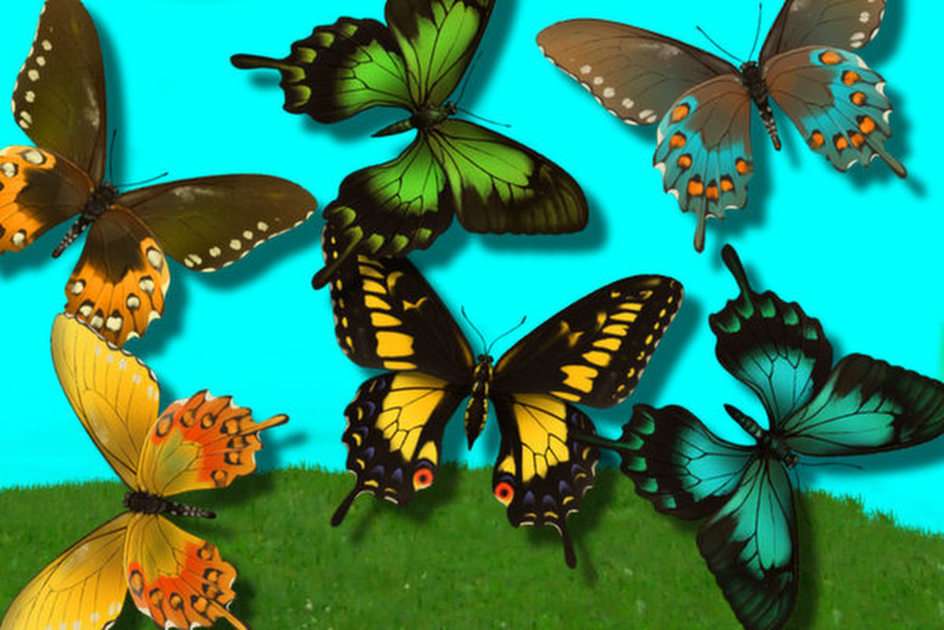 Градина на пеперуди онлайн пъзел