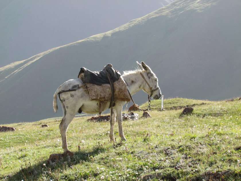 montagne del Kirghizistan puzzle online da foto