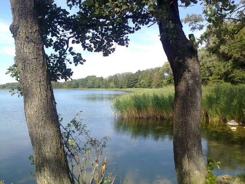 Skarlińskie езеро онлайн пъзел