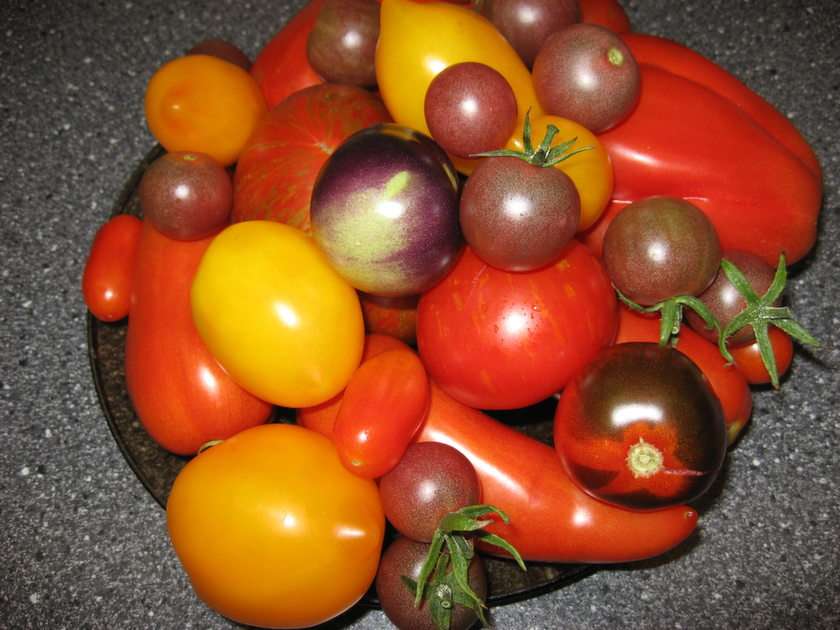 barevné cherry rajčata puzzle online z fotografie