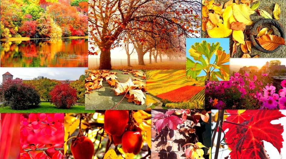 Podzimní koláž puzzle online z fotografie