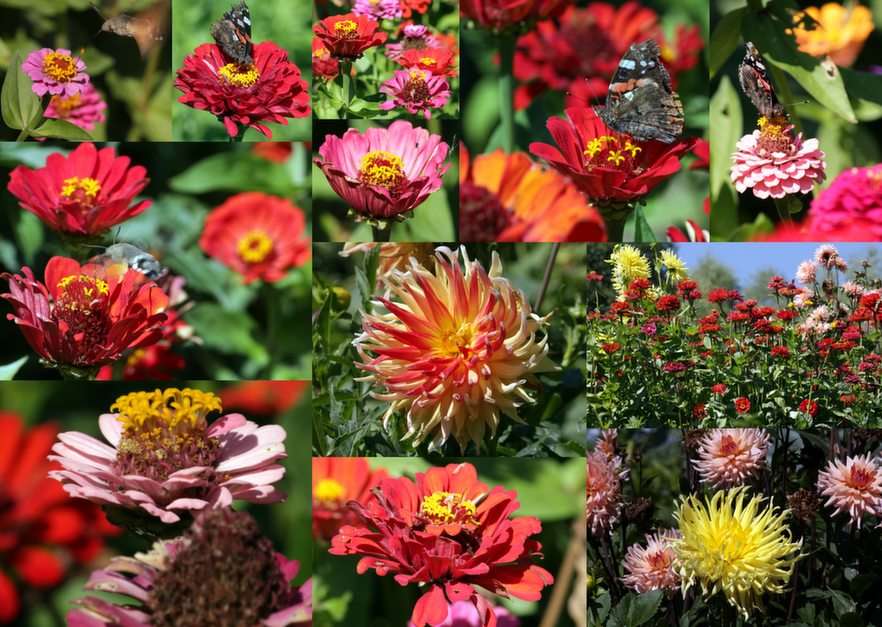 collage di fiori puzzle online