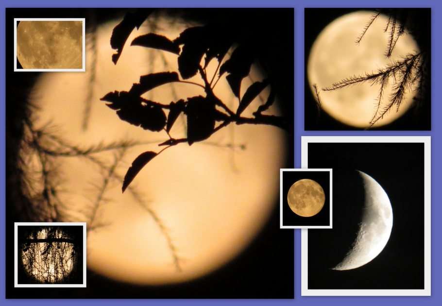 maan collage puzzel online van foto