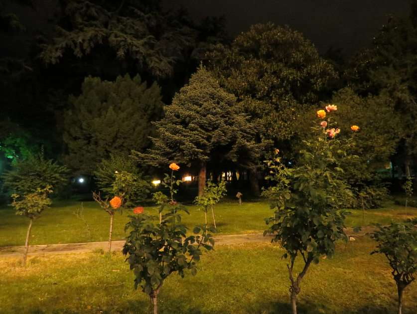 Πάρκο τη νύχτα online παζλ