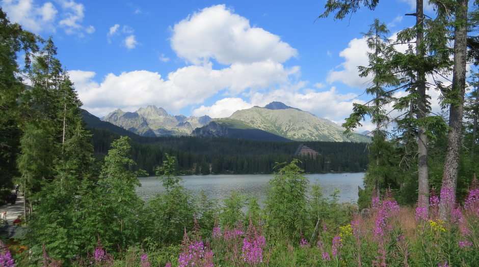 View of the Tatra Mountains puzzle online from photo