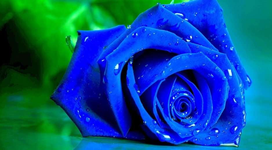 Rose bleue puzzle en ligne