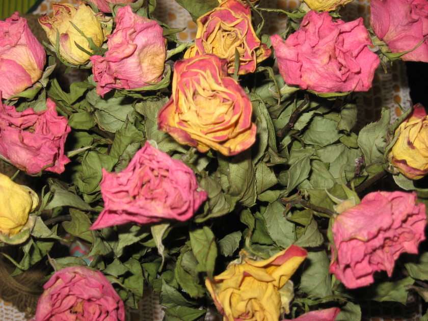 gedroogde rozen puzzel online van foto