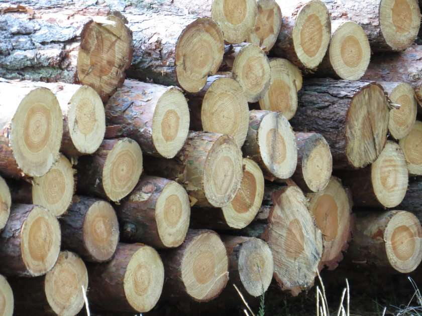 ξύλινο σωρό παζλ online από φωτογραφία