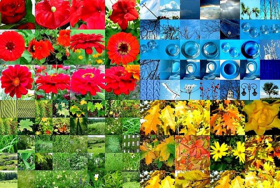 Collage puzzle online from photo