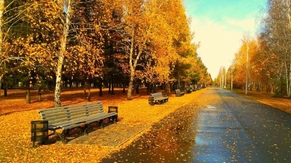 Sentier aux couleurs d'automne puzzle online a partir de fotografia