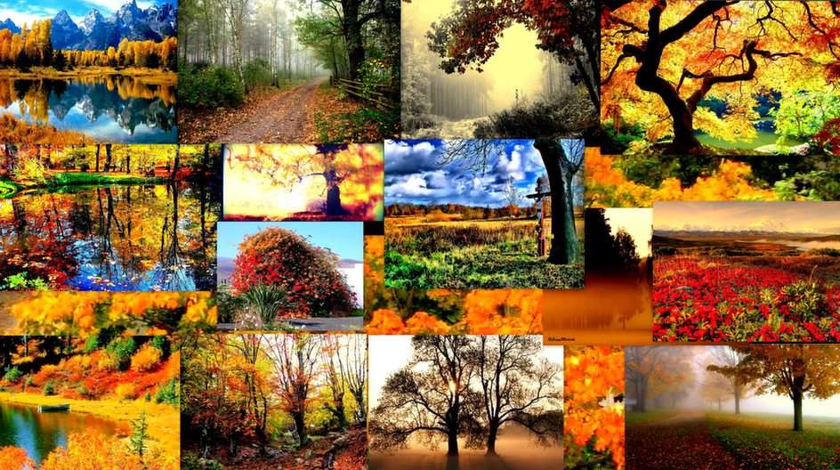 Autumn puzzle from photo