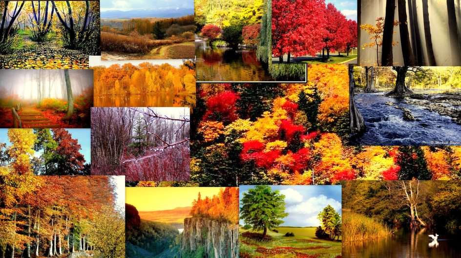 Outono puzzle online