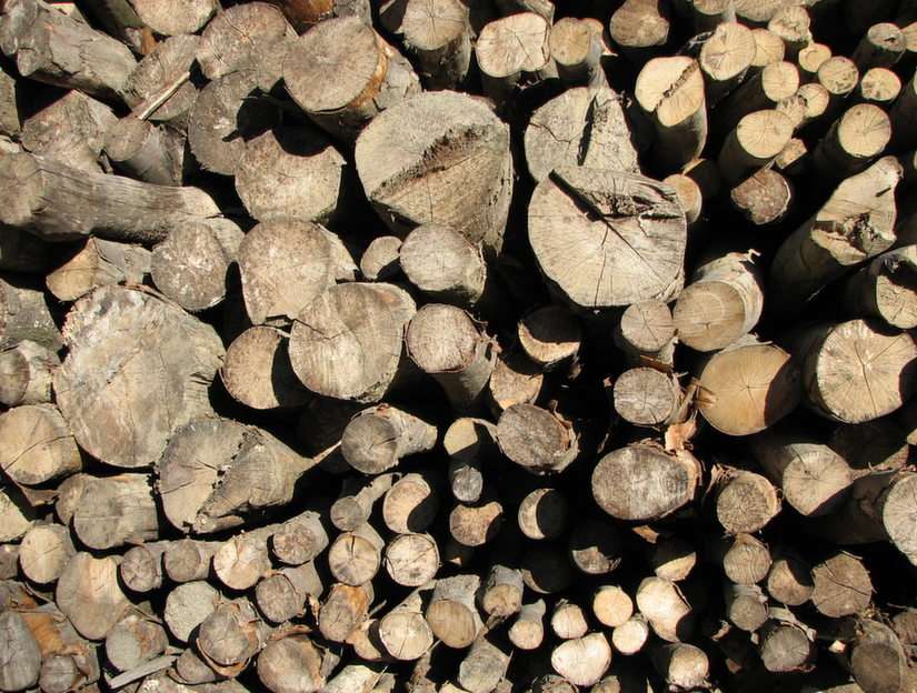 Wood for winter, Koszarawa 2015 online puzzle