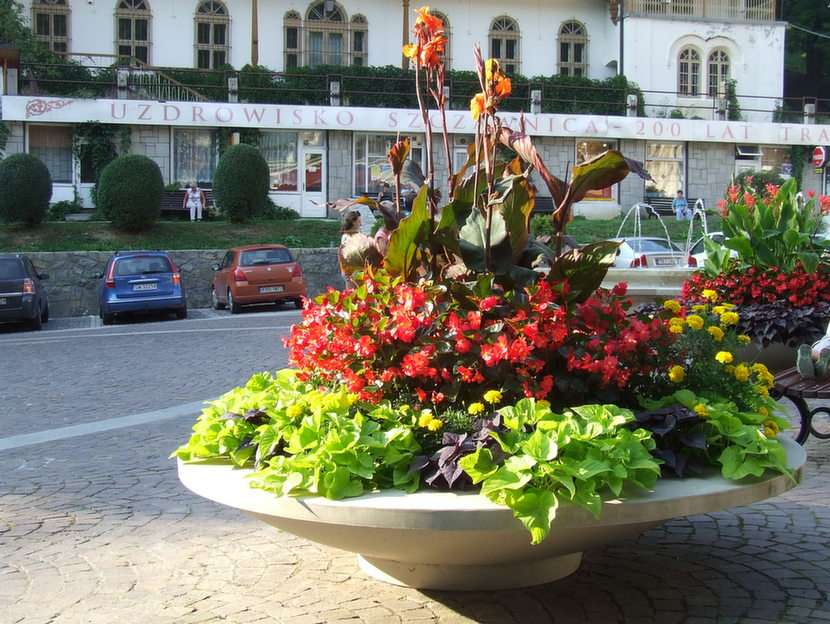 virágokkal beültetett terület puzzle online fotóról
