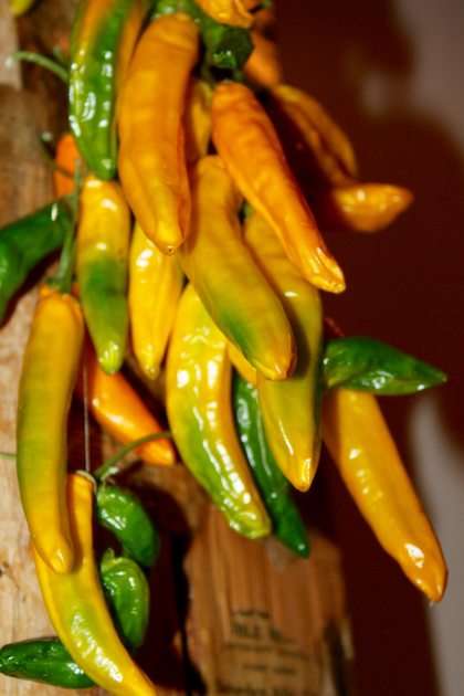 Hot Peppers Pussel online