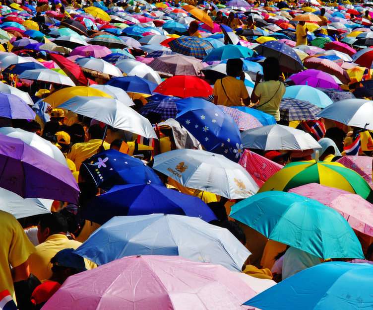 Umbrellas online puzzle